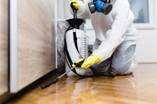 Best Pest Prevention Services  in Kenova, WV