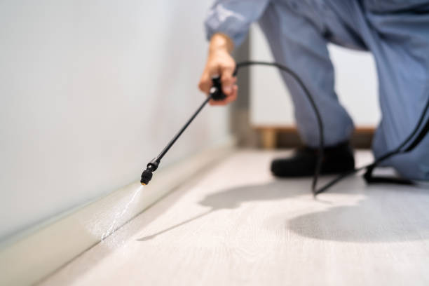 Professional Pest Control in Kenova, WV