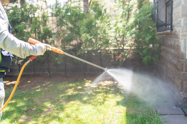 Wasp Removal Services in Kenova, WV