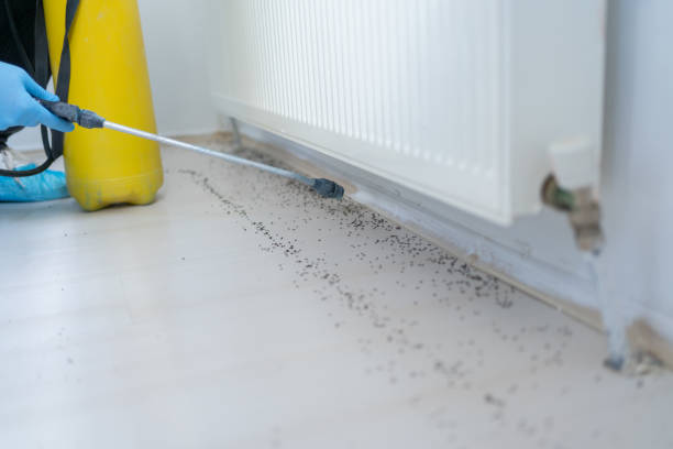 Best Pest Removal Services  in Kenova, WV